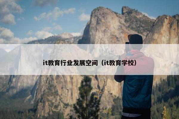it教育行业发展空间（it教育学校）