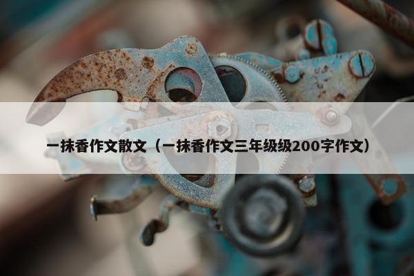 一抹香作文散文（一抹香作文三年级级200字作文）
