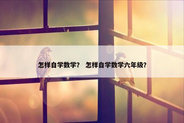 怎样自学数学？ 怎样自学数学六年级？