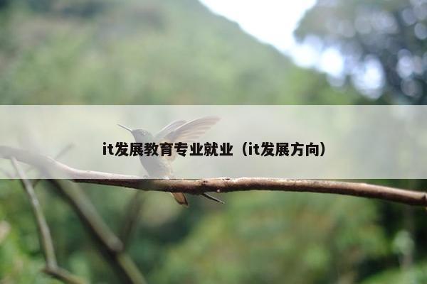 it发展教育专业就业（it发展方向）