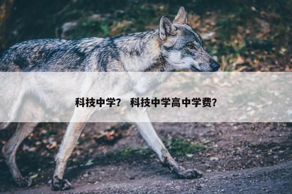 科技中学？ 科技中学高中学费？