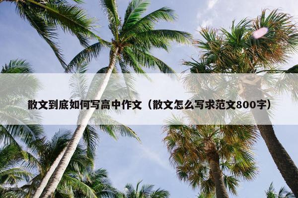 散文到底如何写高中作文（散文怎么写求范文800字）