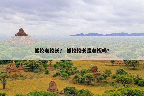 驾校老校长？ 驾校校长是老板吗？