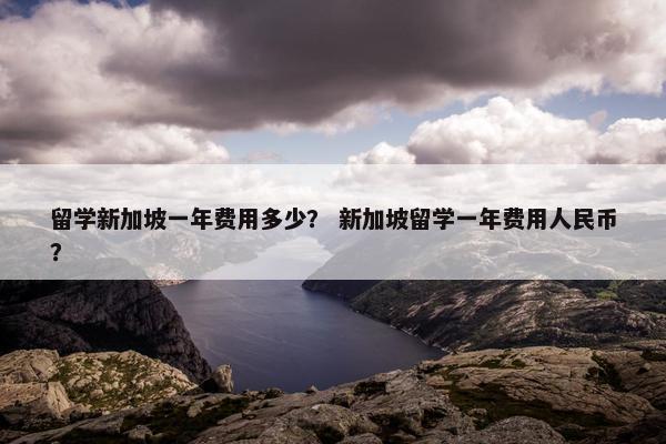 留学新加坡一年费用多少？ 新加坡留学一年费用人民币？
