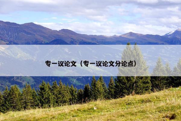 专一议论文（专一议论文分论点）