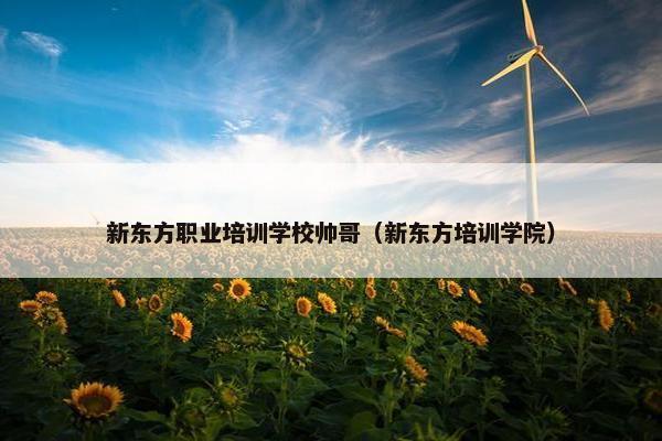 新东方职业培训学校帅哥（新东方培训学院）