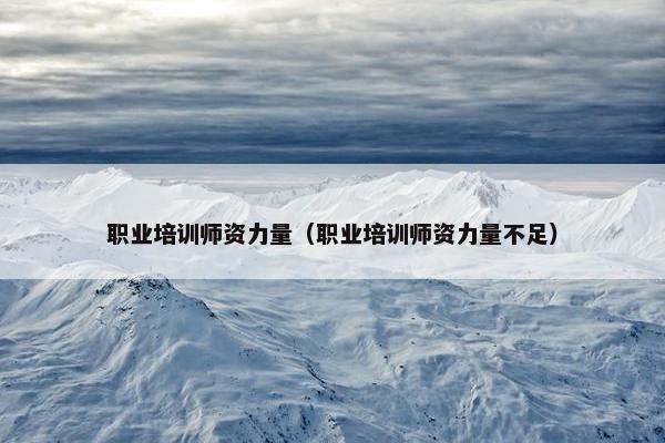 职业培训师资力量（职业培训师资力量不足）