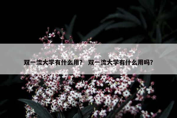 双一流大学有什么用？ 双一流大学有什么用吗？