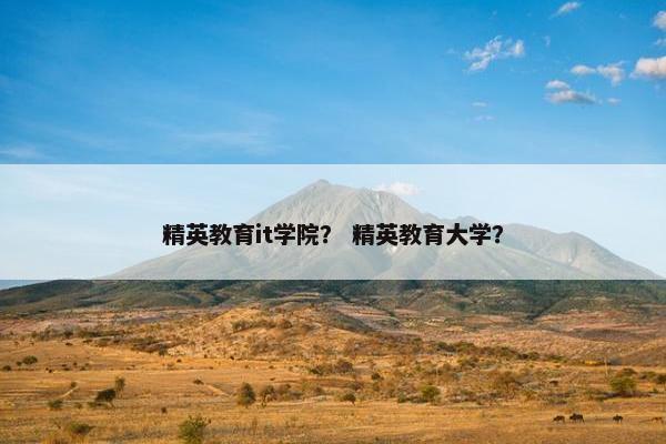 精英教育it学院？ 精英教育大学？