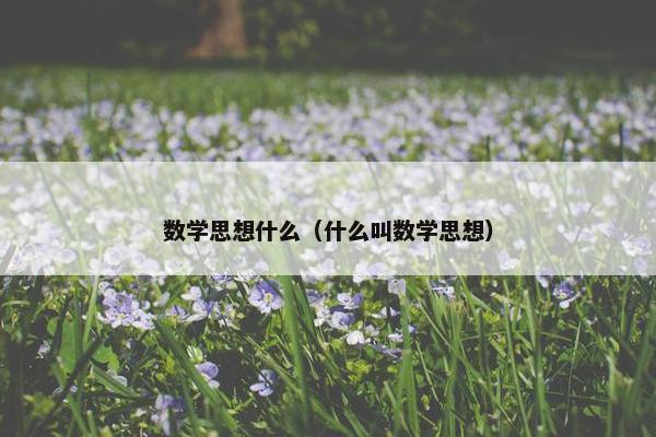 数学思想什么（什么叫数学思想）