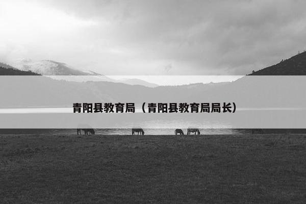 青阳县教育局（青阳县教育局局长）