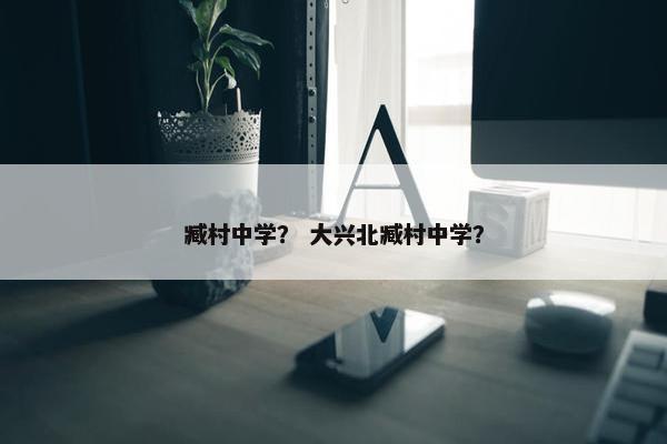 臧村中学？ 大兴北臧村中学？