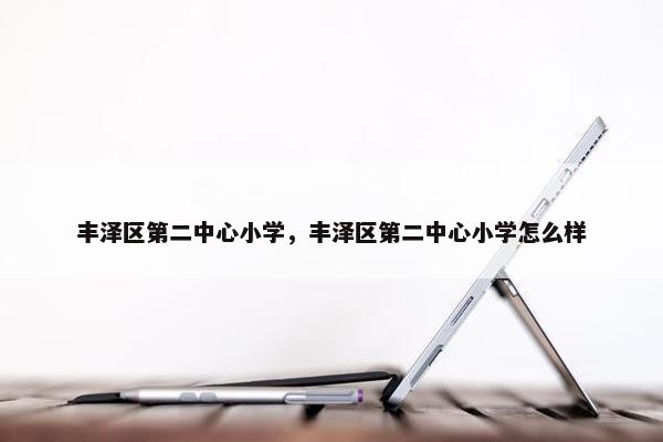 丰泽区第二中心小学，丰泽区第二中心小学怎么样