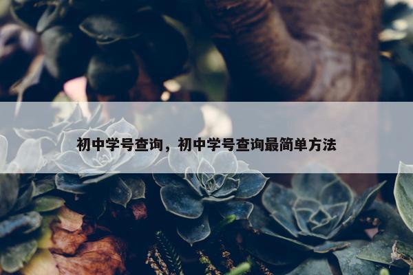 初中学号查询，初中学号查询最简单方法