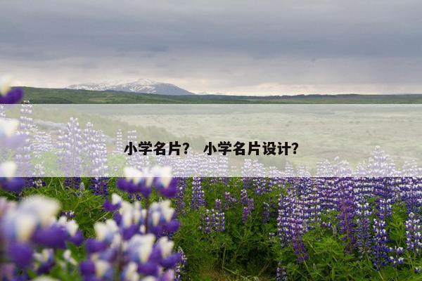 小学名片？ 小学名片设计？