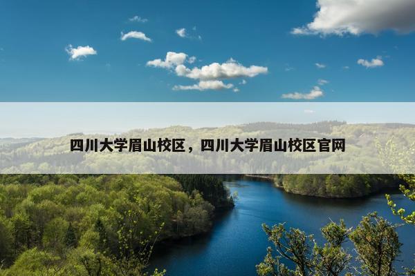 四川大学眉山校区，四川大学眉山校区官网