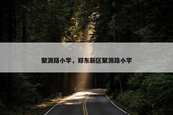 聚源路小学，郑东新区聚源路小学