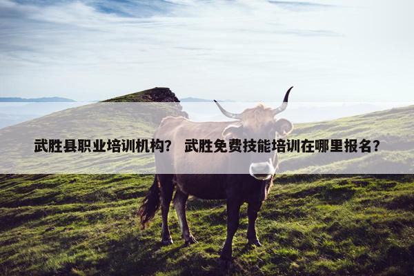 武胜县职业培训机构？ 武胜免费技能培训在哪里报名？