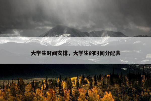 大学生时间安排，大学生的时间分配表