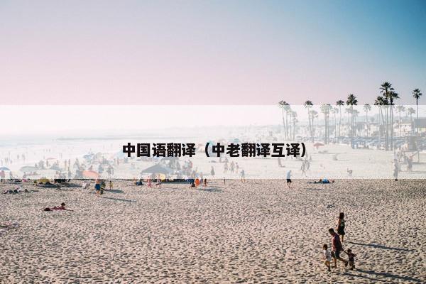 中国语翻译（中老翻译互译）