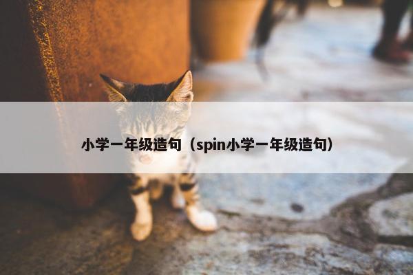小学一年级造句（spin小学一年级造句）