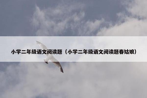小学二年级语文阅读题（小学二年级语文阅读题春姑娘）