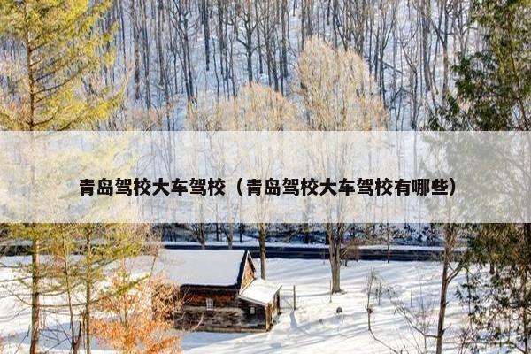 青岛驾校大车驾校（青岛驾校大车驾校有哪些）