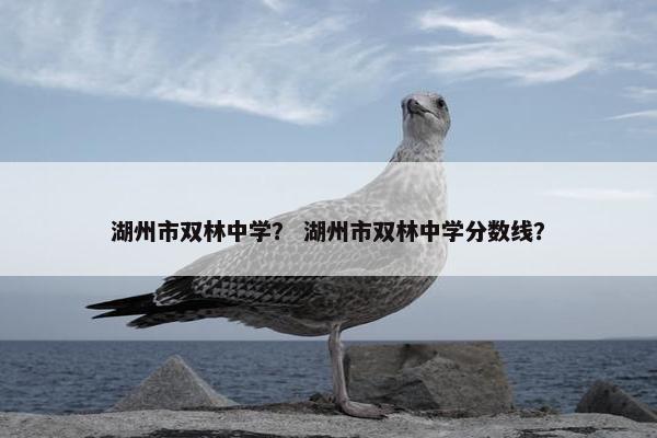 湖州市双林中学？ 湖州市双林中学分数线？