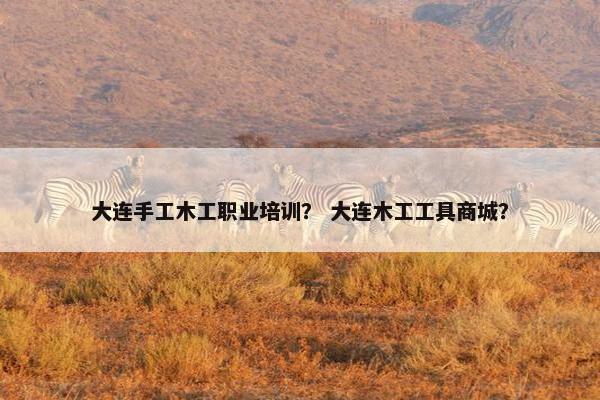 大连手工木工职业培训？ 大连木工工具商城？