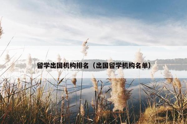 留学出国机构排名（出国留学机构名单）