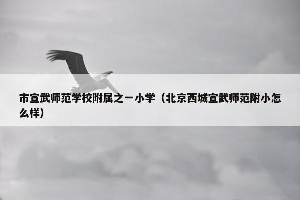 市宣武师范学校附属之一小学（北京西城宣武师范附小怎么样）