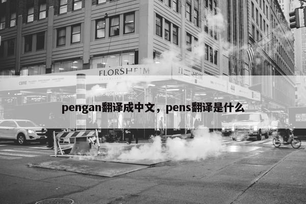 pengan翻译成中文，pens翻译是什么