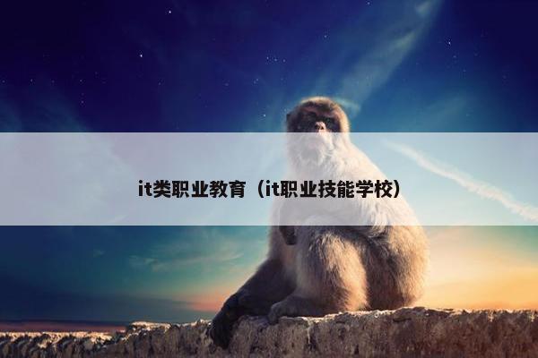 it类职业教育（it职业技能学校）