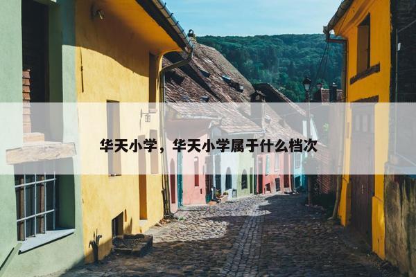 华天小学，华天小学属于什么档次