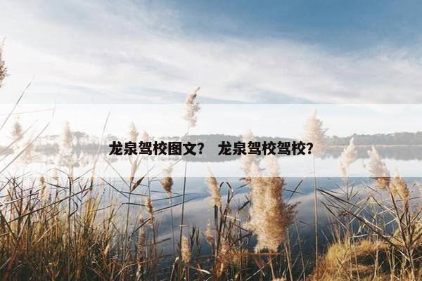 龙泉驾校图文？ 龙泉驾校驾校？