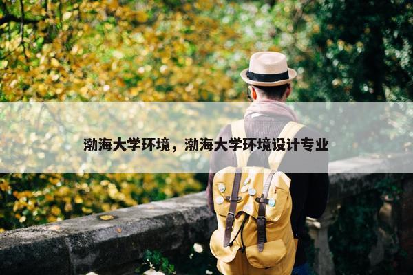 渤海大学环境，渤海大学环境设计专业