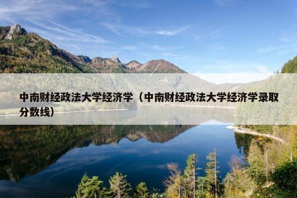 中南财经政法大学经济学（中南财经政法大学经济学录取分数线）