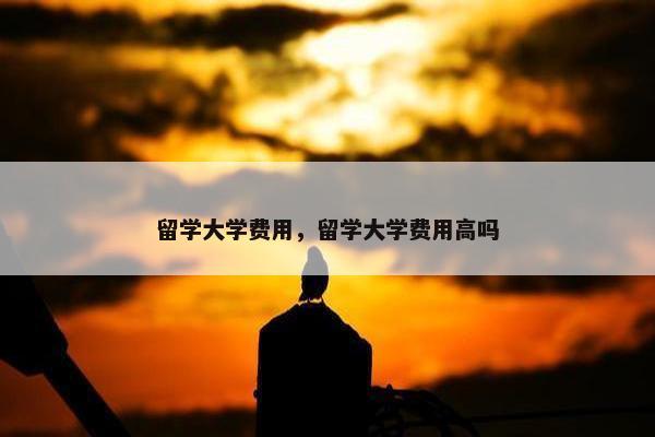 留学大学费用，留学大学费用高吗