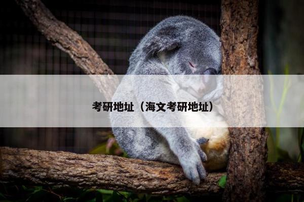 考研地址（海文考研地址）