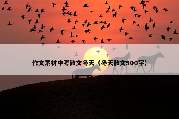 作文素材中考散文冬天（冬天散文500字）
