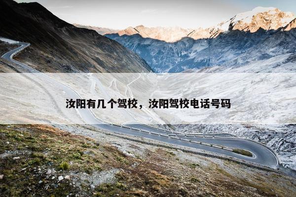 汝阳有几个驾校，汝阳驾校电话号码