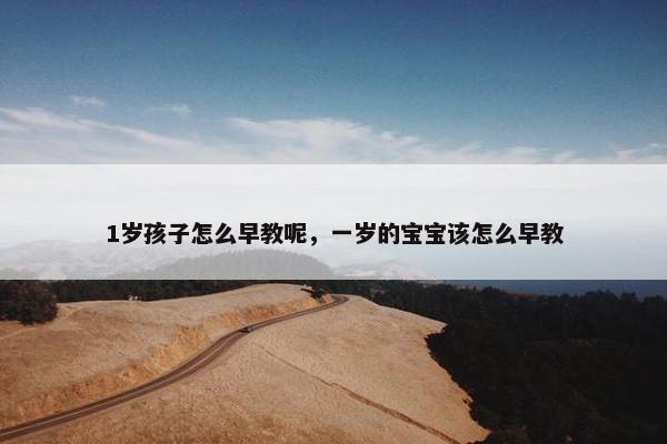 1岁孩子怎么早教呢，一岁的宝宝该怎么早教