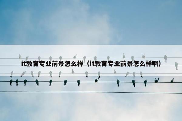 it教育专业前景怎么样（it教育专业前景怎么样啊）