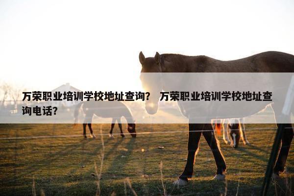 万荣职业培训学校地址查询？ 万荣职业培训学校地址查询电话？