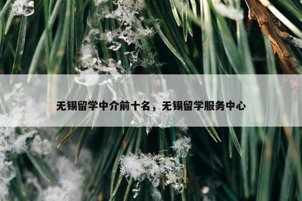 无锡留学中介前十名，无锡留学服务中心