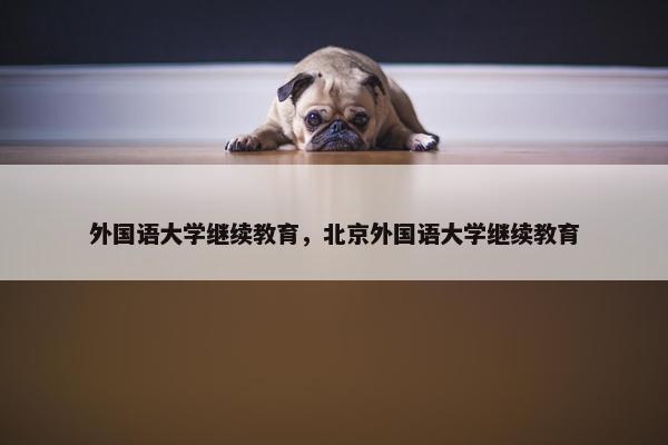 外国语大学继续教育，北京外国语大学继续教育