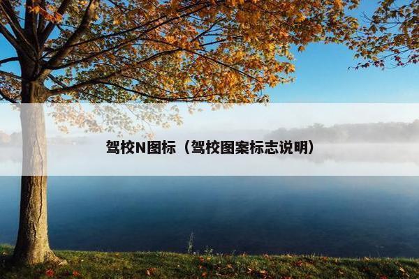 驾校N图标（驾校图案标志说明）