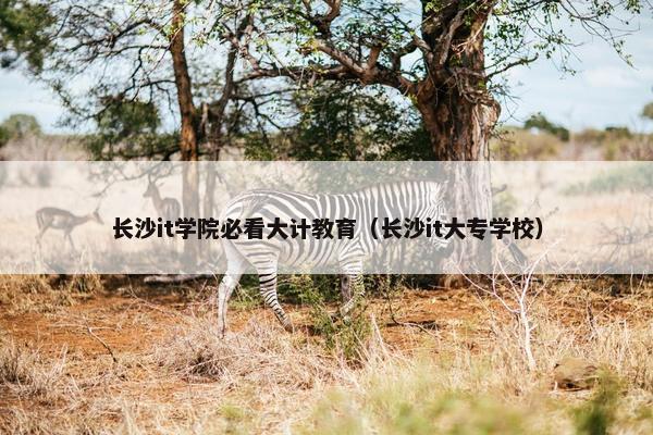 长沙it学院必看大计教育（长沙it大专学校）