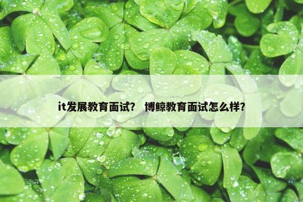 it发展教育面试？ 博鲸教育面试怎么样？