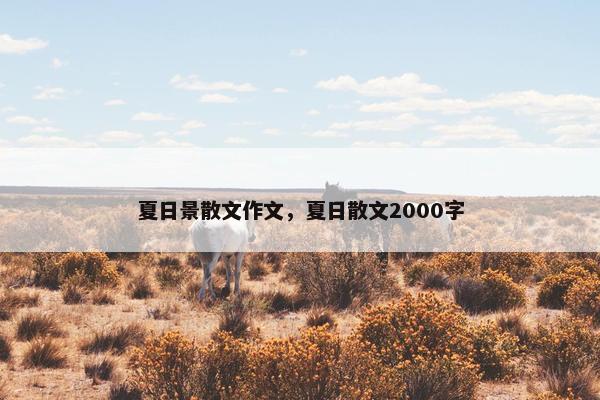夏日景散文作文，夏日散文2000字